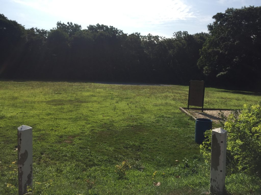 Picture of a green grassy field, The Hollow August 2019