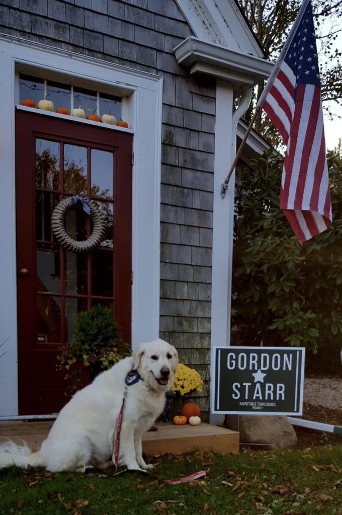 Elect Gordon Starr sign on a neighbor's lawn with a handsome cream colored retriever sitting next to it.  Keeping Up With Gordon is not for the feint of heart.